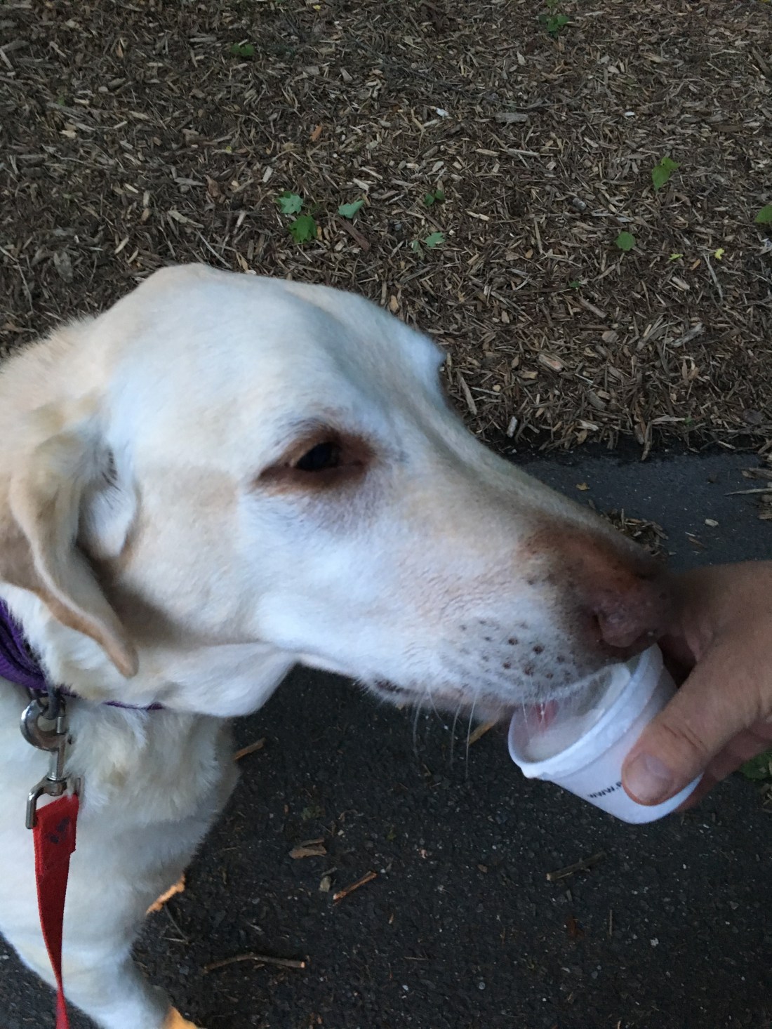 6694E763-C5A5-4E37-BC3C-02690EFD265C