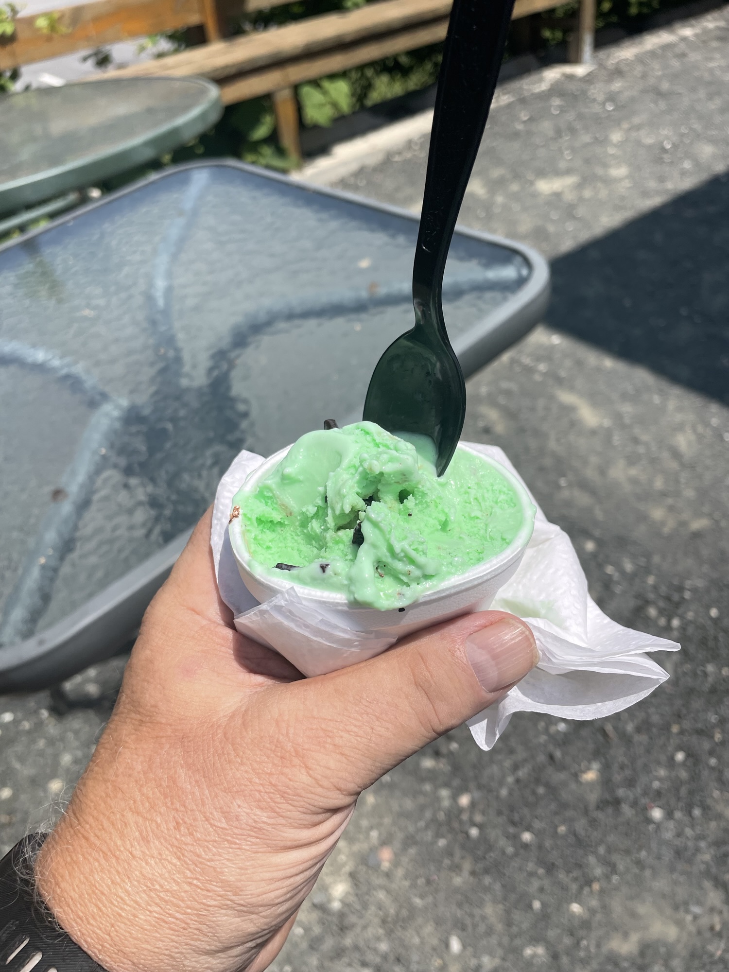 131, Jessica's Garden, Marlborough – The Connecticut Ice Cream Quest